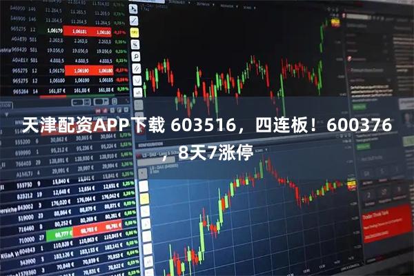 天津配资APP下载 603516，四连板！600376，8天7涨停