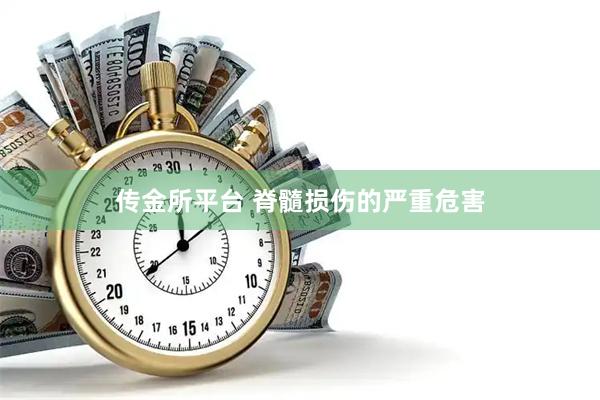 传金所平台 脊髓损伤的严重危害